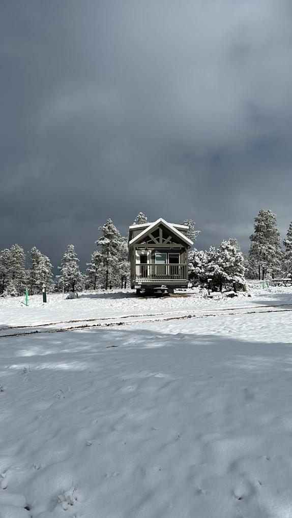 Cozy Cabin By Forest View 4B Williams Bagian luar foto